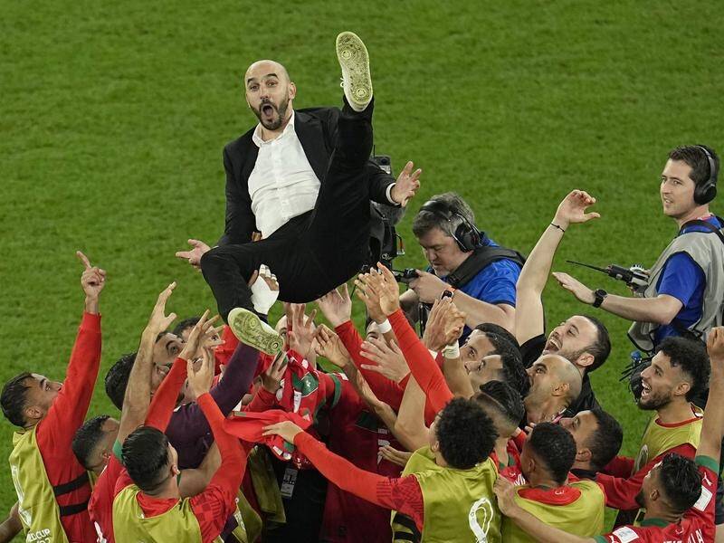 Morocco's players throwing their Coach Walid , during the 2022 FIFA World Cup in Qatar
