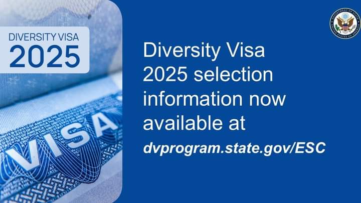 How to check US Visa Lottery 2025 entry results